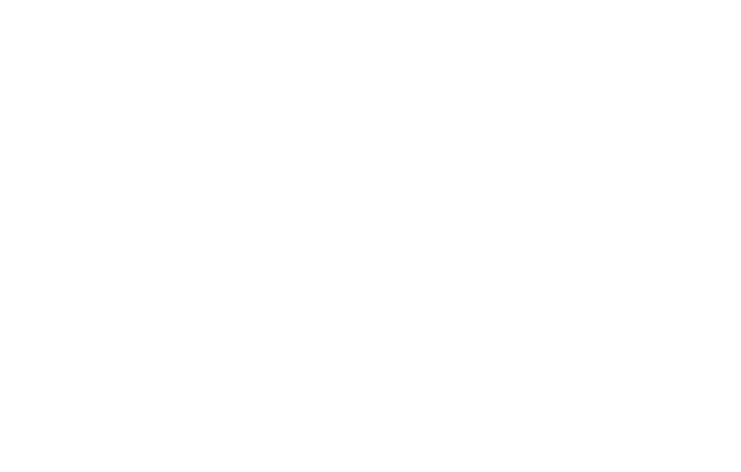 Logo_schell-wald-design-Weiss